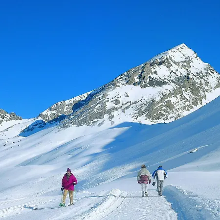 شاليه Chalet Lange *