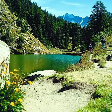 شاليه Chalet Lange *
